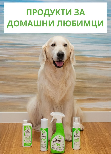 Начало