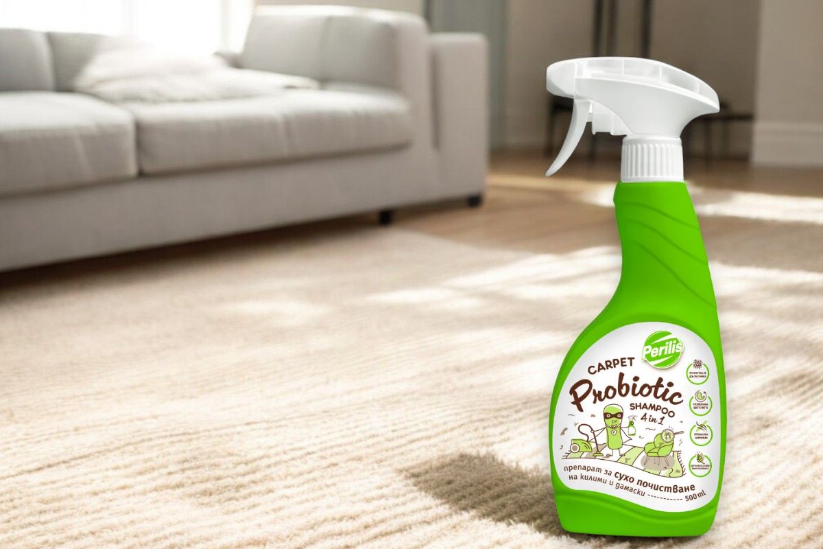 Можете ли да се справите с почистване на дивани?